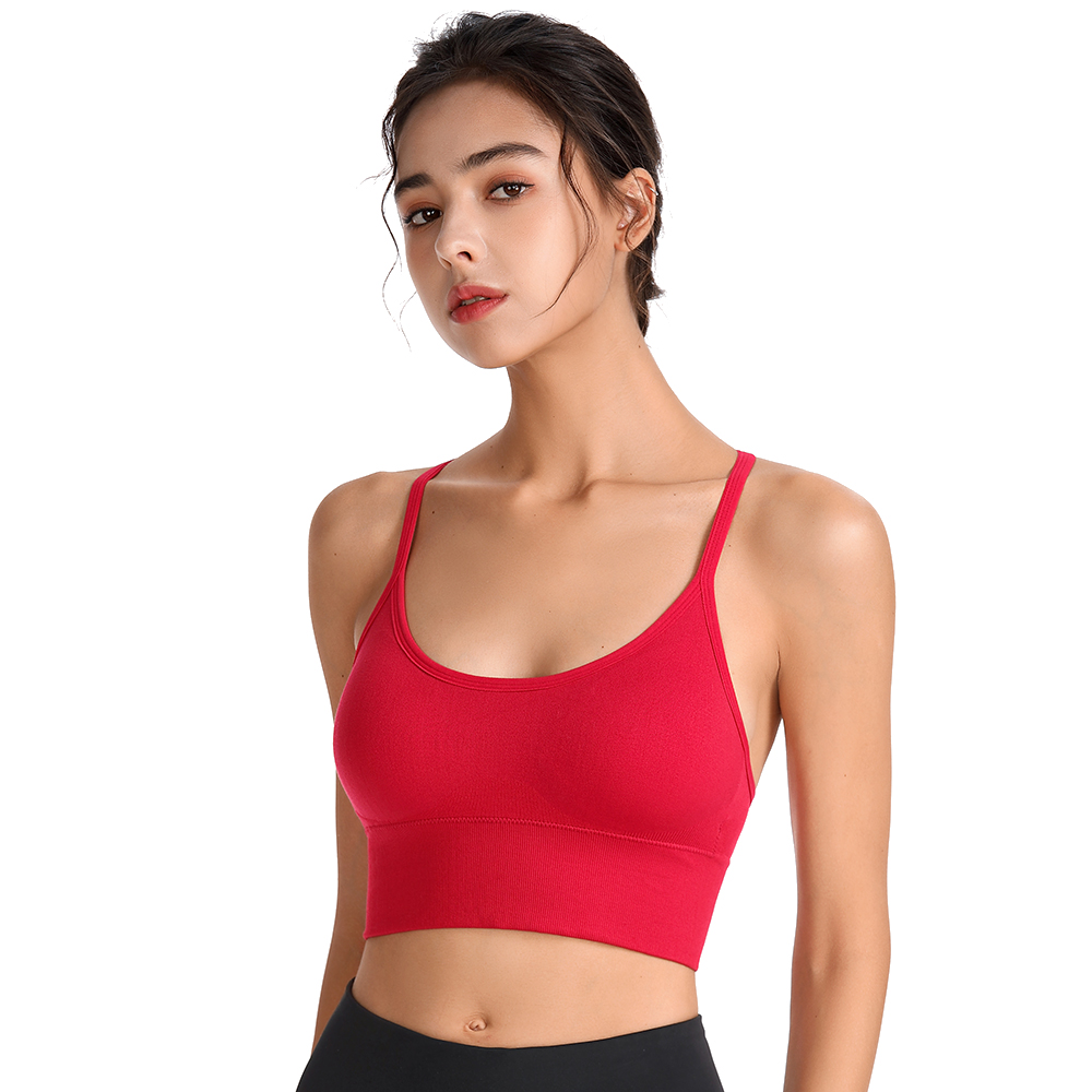 Sports Wear For Women Gym Bra  - Yoga Fitness Plus reseña y precio
